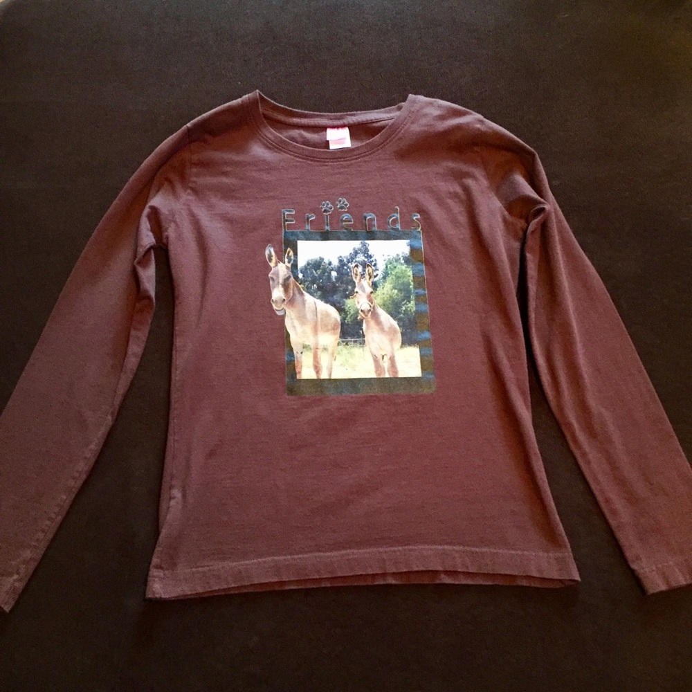 Friends Donkey Shirt